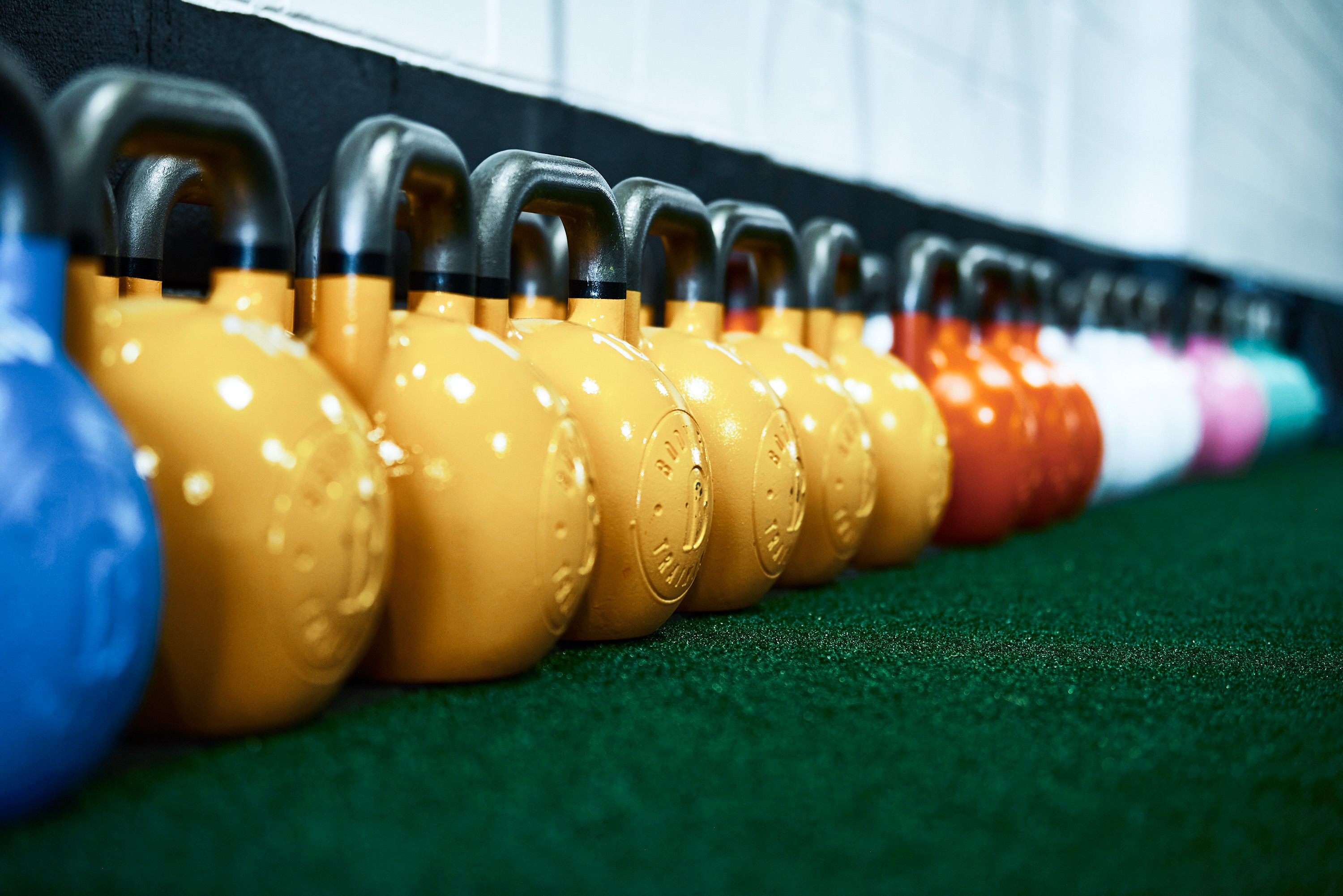 BFT dumbbells in a row